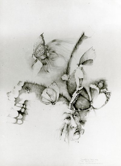  av Donatella Merlo