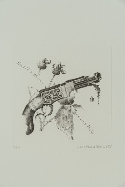 Smith og Wesson magasinpistol av Donatella Merlo