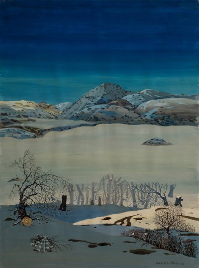 Snø av Donatella Merlo