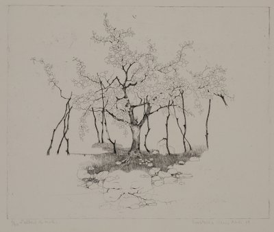Epletreet av Donatella Merlo