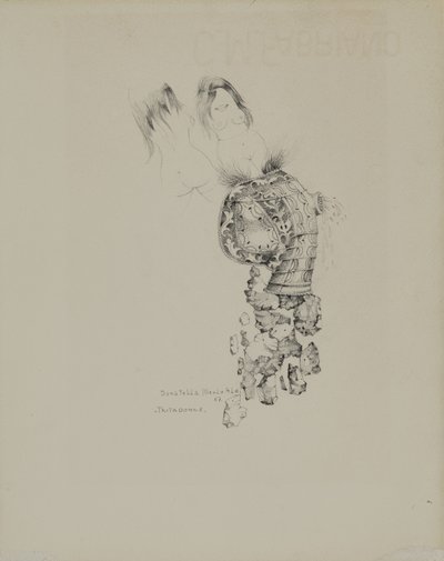 Kvinnens makuleringsmaskin av Donatella Merlo