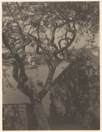  av Doris Ulmann