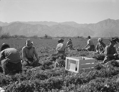  av Dorothea Lange