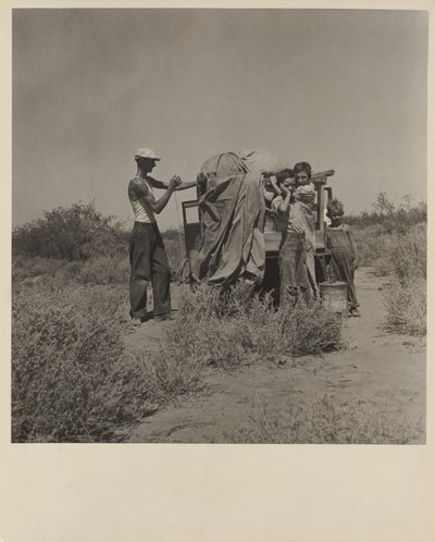  av Dorothea Lange