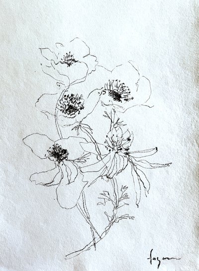  av Dorothy Fagan