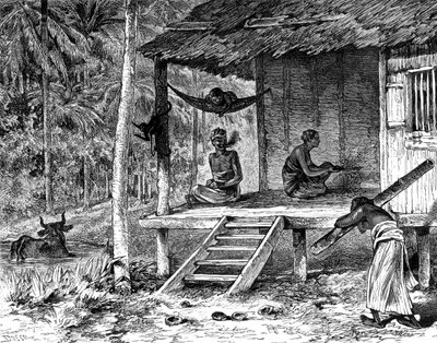 Malaysisk hytte, 1800-tallet av Dosso