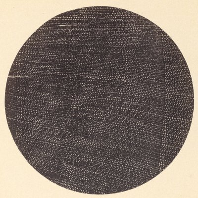 Mikrofotografi av tverrsnitt av tre (Salisbury) av Dr. Arthur Durham