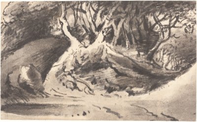 Skogkledd landskap av Dr. Thomas Monro