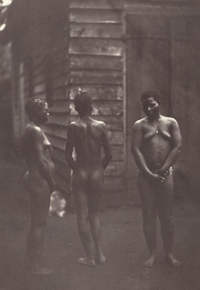 Tre madagaskiske kvinner (plate 30) av Désiré Charnay