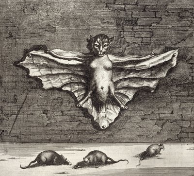 En flaggermus kjent som en flygende katt, fra Kina Illustrert av Athanasius Kircher (1601-80) 1667 av Dutch School