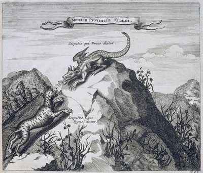 Et fjell i Jiangxi-provinsen med steiner kjent som dragen og tigeren, fra Kina Illustrert av Athanasius Kircher (1601-80) 1667 av Dutch School
