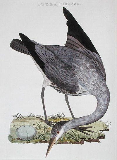 Heron, utgitt i Amsterdam av Dutch School