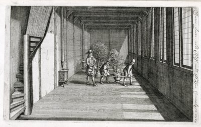 Flytte trær inn i hagen for sommeren, fra De Nederlandse Hesperides av Jan Commelin, utgitt 1676 av Dutch School