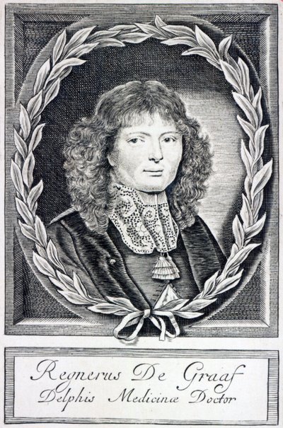 Regnier de Graaf, ca. 1670 av Dutch School