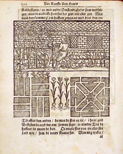 Trening og planting i hagen, fra The Dutch Gardener, av Johann van der Groen, utgitt 1699 av Dutch School