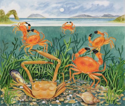Crabs in the Ocean, 1997 (akryl på papir) av E.B. Watts