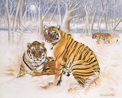 Tigers in the Snow, 2005 (akryl på lerret) av E.B. Watts