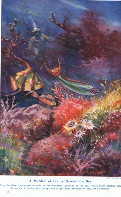 A Paradise of Beauty Beneath the Sea, illustrasjon fra 