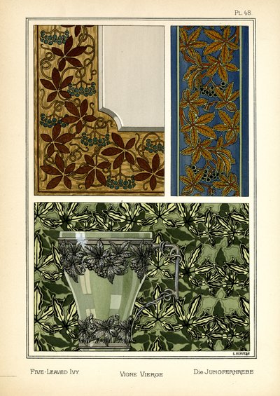 The Five-leaved Ivy av E. Hervegh