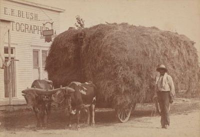 Albumtrykk av en mann med full høyvogn, 1894-1904. av E. K. Blush