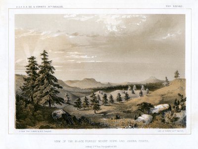 The Black Forest Mount Hope and Sierra Prieta, USA, 1856.   1134677   no       norwegian Successfully Translated  Original: Scherzi di Fantasia Translat: Scherzi di Fantasia 1293159 no norwegian Successfully Translated Original: The Martyrdom of Saint Paul av E Stout