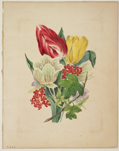 Bukett av tulipaner, fra Floras ordbok, 1838 av E. W. Wirt