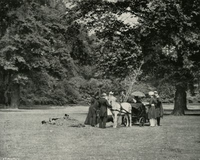 Hennes Majestet planter et tre på eiendommen til Buckingham Palace som et minne om jubileet, juni av E. and S. Woodbury