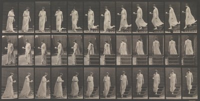 Dyrebevegelse. En elektrofotografisk undersøkelse... av dyrebevegelser. Begynn..., 1880-tallet. av Eadweard Muybridge
