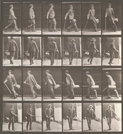 Dyrebevegelse. En elektrofotografisk undersøkelse... av dyrebevegelser. Begynn..., 1880-tallet. av Eadweard Muybridge