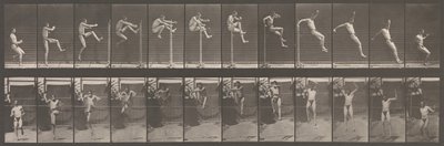 Dyrebevegelse. En elektrofotografisk undersøkelse av påfølgende faser av dyr ..., 1880-tallet. av Eadweard Muybridge