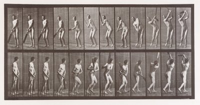 Dyrebevegelse. En elektrofotografisk undersøkelse av påfølgende faser av dyr ..., 1880-tallet. av Eadweard Muybridge