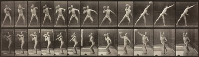 Dyrebevegelse, plate 319, 1887. av Eadweard Muybridge
