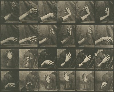 Dyrebevegelse, plate 535, 1887. av Eadweard Muybridge