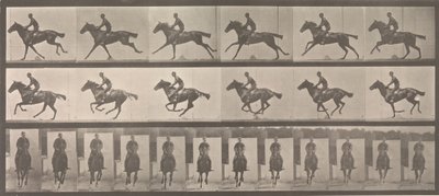 [Hest and Rider Galopping], 1883-86, trykt 1887. av Eadweard Muybridge