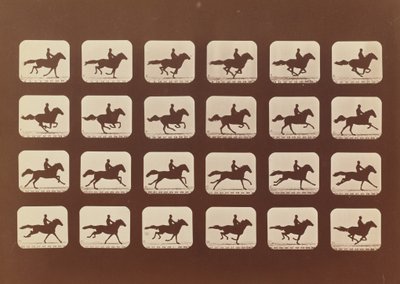 Hester. Løping. Phyrne L. nr. 40, 1879. av Eadweard Muybridge
