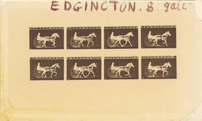 Internegativ for hester. Trav. Abe Edgington. nr. 28, 1878. av Eadweard Muybridge