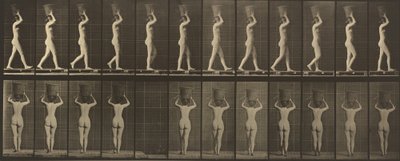 Plate nummer 34. Går og bærer en 15-lb. kurv på hodet, hender hevet, 1887. av Eadweard Muybridge