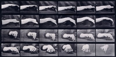 A Motion Study of a Hand, ca. 1872-1885 av Eadweard Muybridge