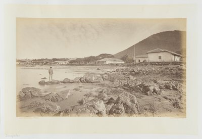  av Eadweard Muybridge