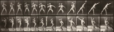  av Eadweard Muybridge