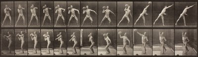Dyrebevegelse, plate 319, 1887 av Eadweard Muybridge