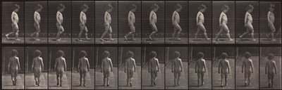 Animal Locomotion, plate 467 av Eadweard Muybridge