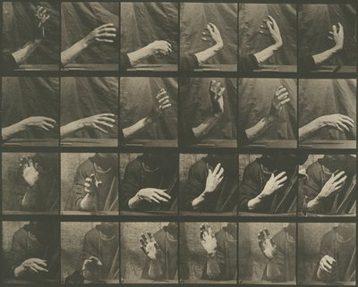  av Eadweard Muybridge