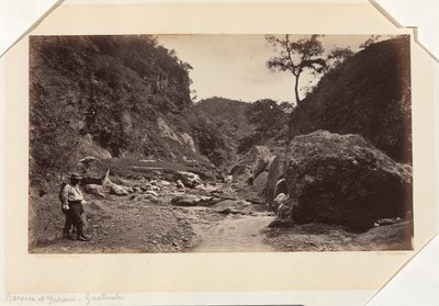  av Eadweard Muybridge