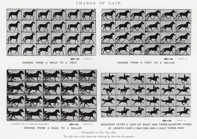 Eadweard Muybridge: Change of Gait (s/hvitt-bilde) av Eadweard Muybridge
