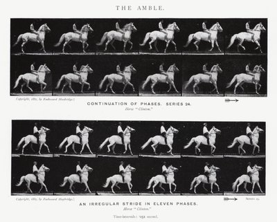Eadweard Muybridge: The Amble (s/hvitt-bilde) av Eadweard Muybridge
