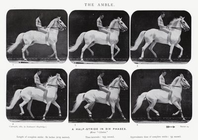 Eadweard Muybridge: The Amble av Eadweard Muybridge