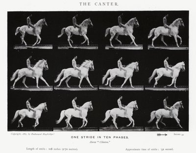 Eadweard Muybridge: The Canter (s/hvitt-bilde) av Eadweard Muybridge