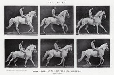 Eadweard Muybridge: The Canter (s/hvitt bilde) av Eadweard Muybridge