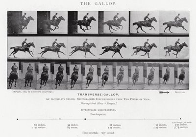 Eadweard Muybridge: The Gallop (s/hvitt-bilde) av Eadweard Muybridge